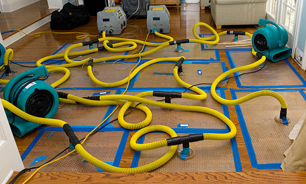 Professional Water Extraction technician working in Guilford, ME